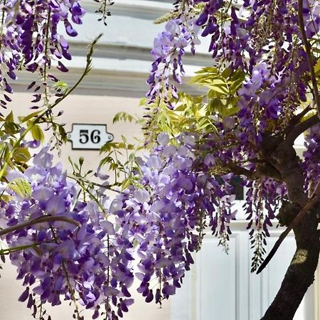 Wisteria Bed & Breakfast Fontainebleau Eksteriør bilde