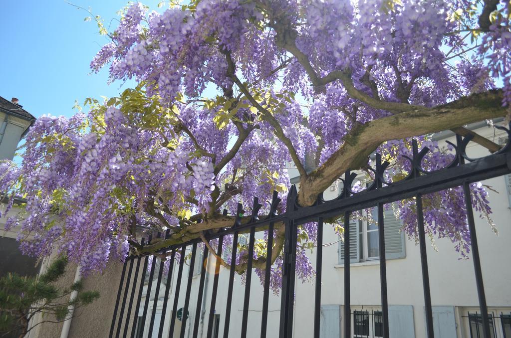 Wisteria Bed & Breakfast Fontainebleau Eksteriør bilde