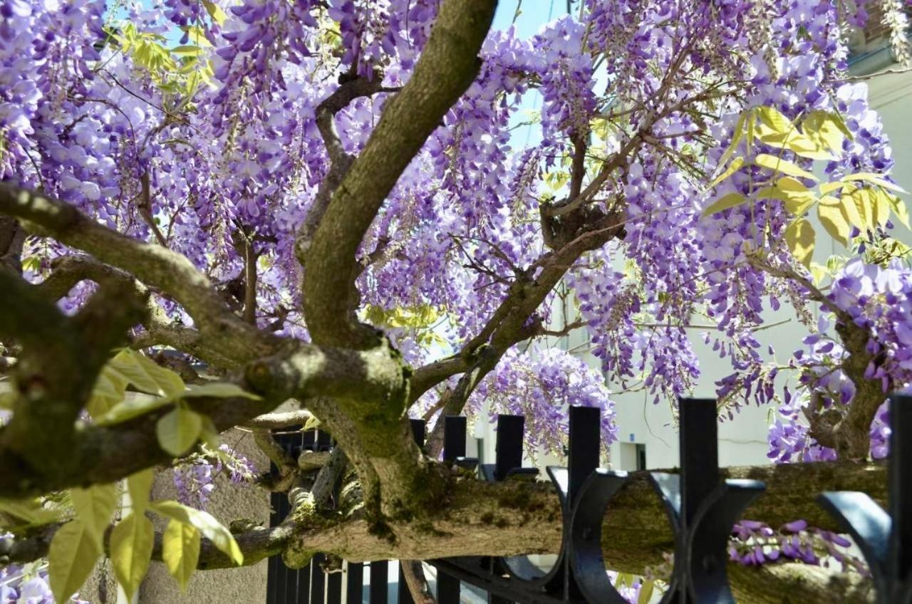 Wisteria Bed & Breakfast Fontainebleau Eksteriør bilde